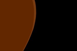 brigitte-desiree-brown-sugar-curves_002